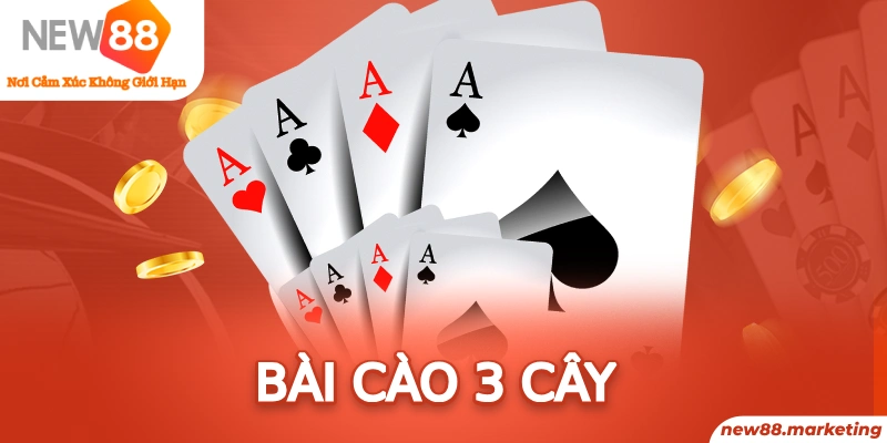 okvnd bản đồ sao cá nhân