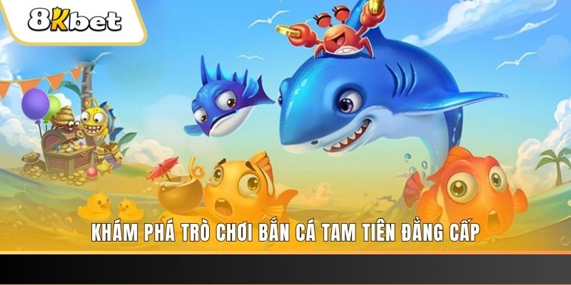 okvnd thị trường baccarat là gì