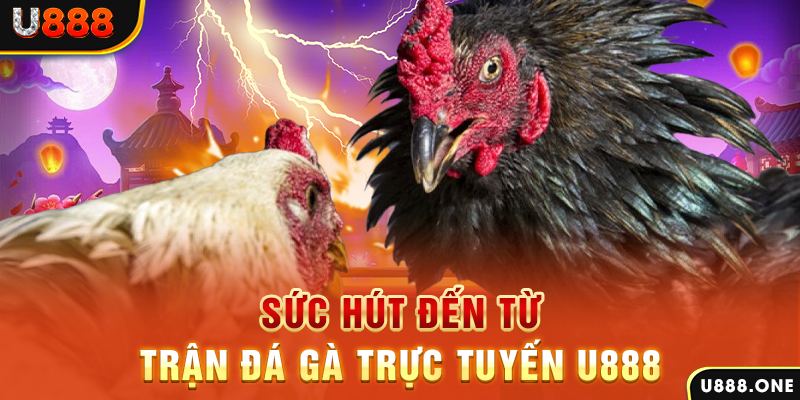 okvnd đá gà trực tiếp c1
