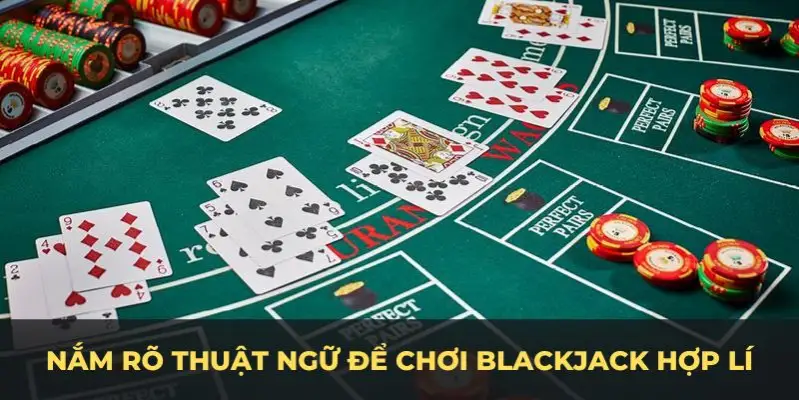 okvnd c1 gà chọi