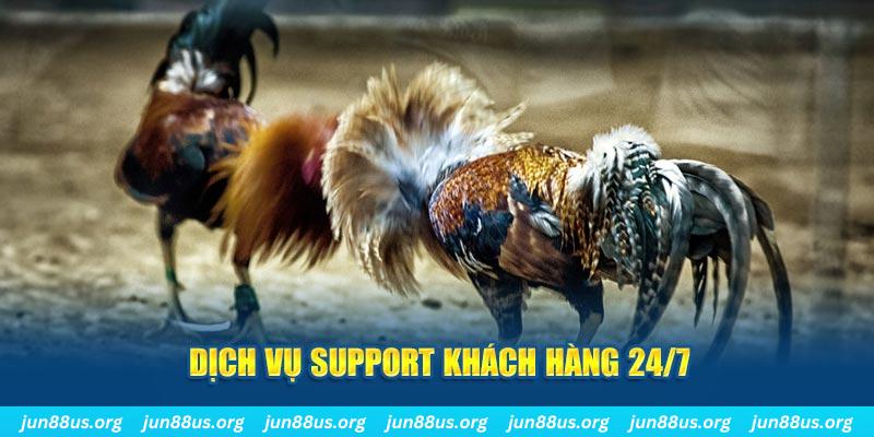 okvnd ÁT CHỦ BÀI GIÀNH LẤY ZHUANG NIUNIU ( XEM 4 LÁ )