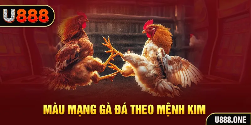 okvnd Cỡ bảy