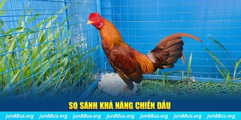 okvnd CQ9 Điện Tử