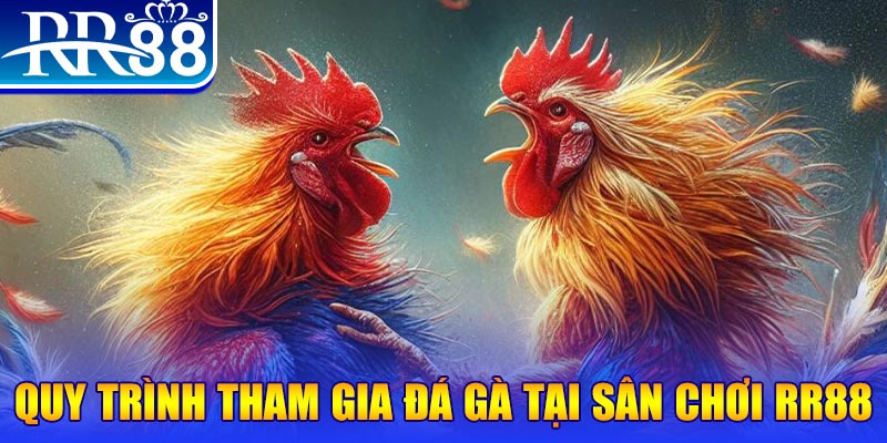 okvnd đá gà cam 67
