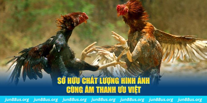 okvnd PP Điện Tử