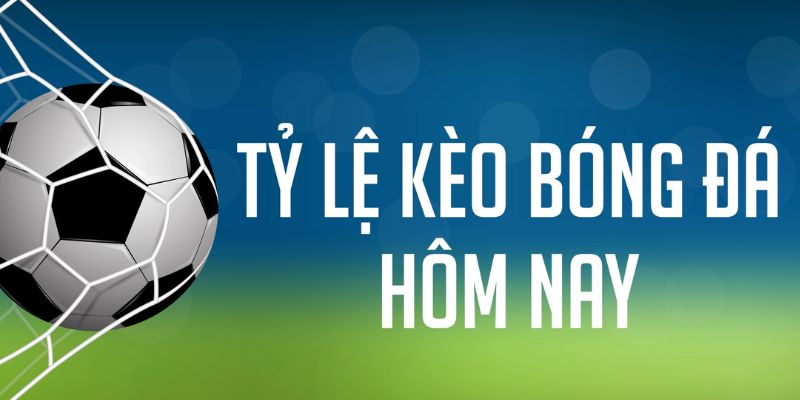 okvnd gà chọi c1 mới nhất