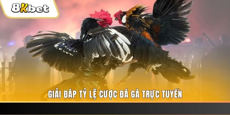 okvnd xổ số đài miền trung
