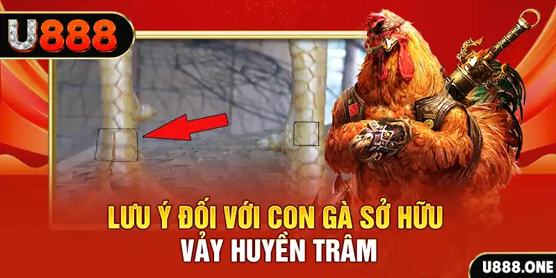 okvnd kết quả xổ số miền nam hôm nay
