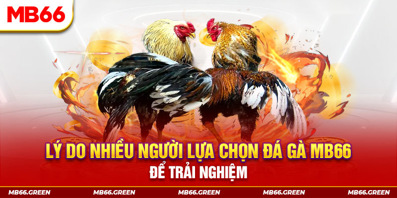 okvnd xổ số miền bắc thứ bảy hàng tuần