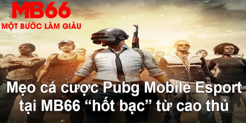 okvnd VA Bắn cá