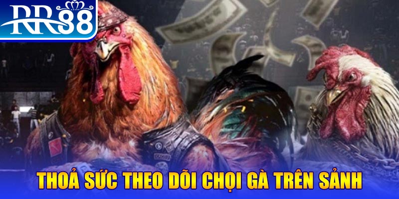 okvnd Bài Poker Joker