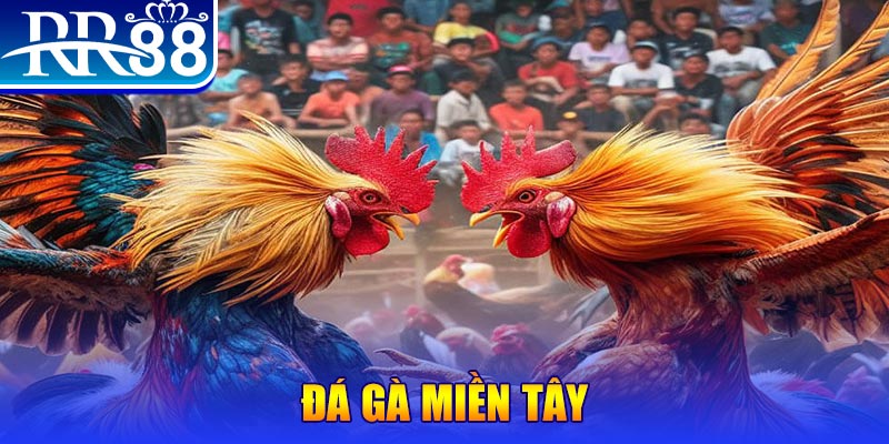 okvnd no hu doi thuong ai