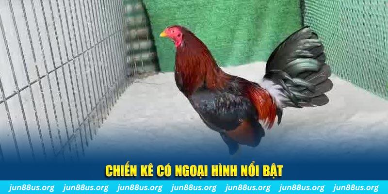 okvnd game nổ hũ là gì