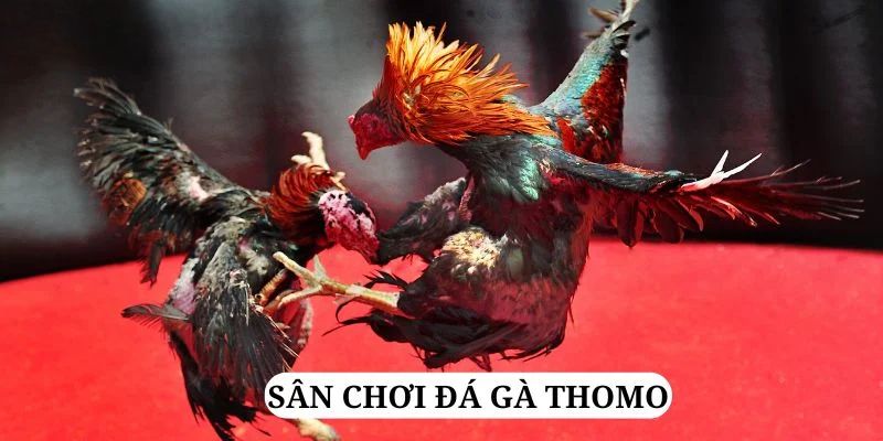 okvnd trực tiếp xổ số miền bắc
