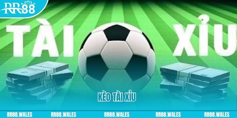 okvnd casino gồm những gì